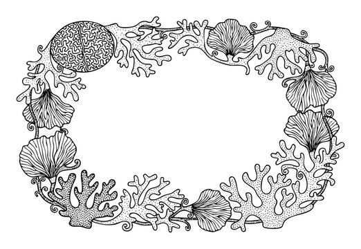 Detailed handdrawn coral and seashell frame ideal for marine life inspired decorative borders, aquatic environment designs, and oceanthemed stationery.