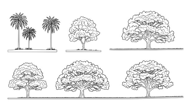 Minimal CAD tree elevation line icons set with tropical and oak trees for architectural drawings