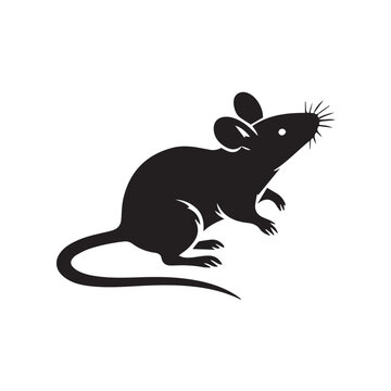 rat vector illustration