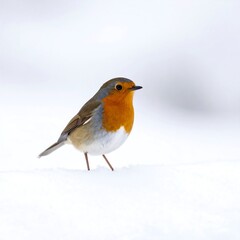 A solitary avian creature with vibrant red plumage on its chest and face, standing amidst a snowy landscape, captured in soft focus
