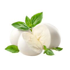 mozzarella cheese vegetarian food isolated on with white background