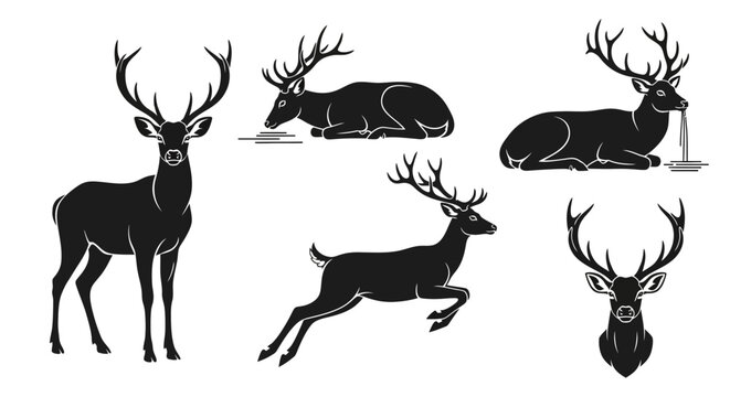 Set of Deer Silhouettes in Various Poses: Standing, Lying Down, and Jumping