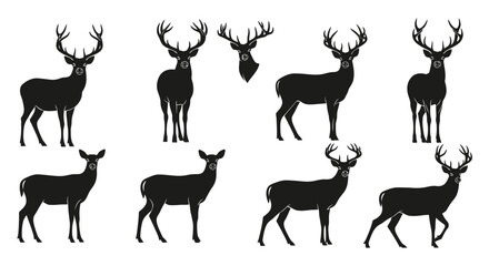Fototapeta premium Set of Black Deer Silhouettes in Various Poses and Antler Styles