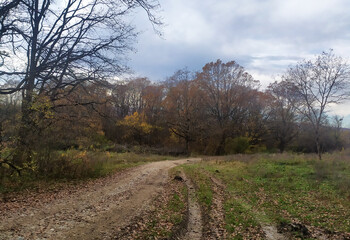 Obraz premium Autumn walks on a dirt road through a forest area in the morning in a mountainous area with sunrise