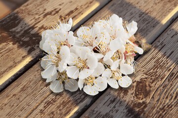 Fototapeta premium Fresh aroma beautiful sakura flowers on desk