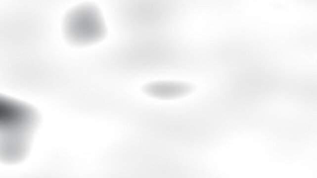 Abstract white and gray background with soft, flowing shapes and subtle gradients, creating a serene and modern visual effect.