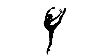 Silhouette of a graceful ballerina performing a high leg extension in a dance studio. © Zanita
