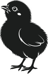 Fototapeta premium Black silhouette of a fluffy chick standing on its feet with white highlights bird