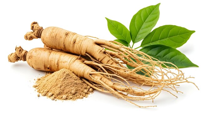 ginger root and parsley, Fresh Organic Panax Ginseng Roots with Green Leaves and Ground Herbal Powder