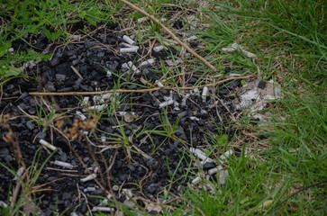 Cigarette butts and ashes scattered on green grass. Litter and cigarette butts in the environment