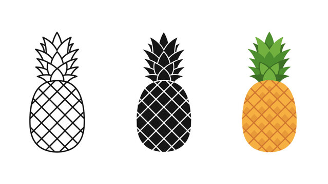 Three illustrations of pineapples in different styles Vector