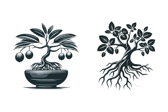 Vector image of mangrove bonsai plant mascot logo suitable for use in logo design of vegetable oil companies, fertilizer shops, agriculture, plantations, communities, bonsai lovers, care, koas, screen
