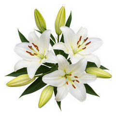 Naklejka premium A bouquet of white lilies on transparent background