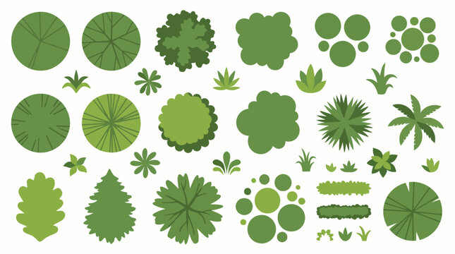 Landscape Architecture Plan Symbols Vector Set, Top View Tree and Shrub Icons for Garden Design and Site Mapping