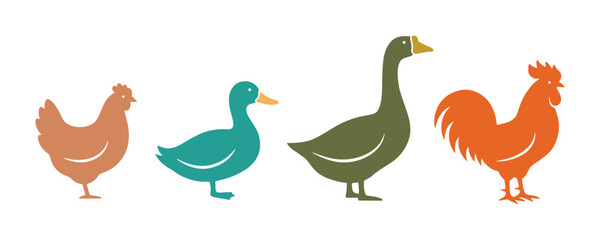 Obraz premium Colorful vector illustration of a duck, goose, chicken, and other poultry 