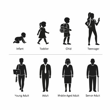 Human Age Stages and Life Cycle Icons: Silhouettes Representing Development Progression from Infant, Child, Teenager, to Senior Adult.