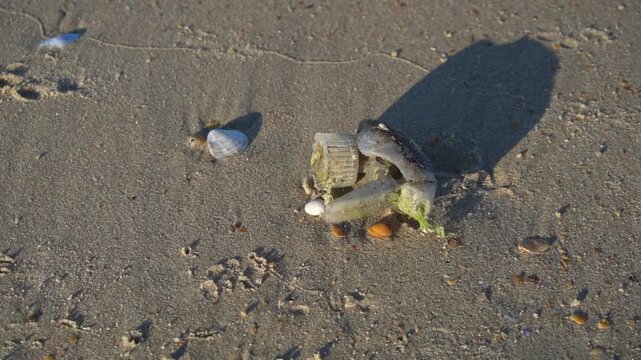 Close-up. Trash on the beach. Plastic disposable bottle, use of plastic tableware in nature. Environmental pollution concept.