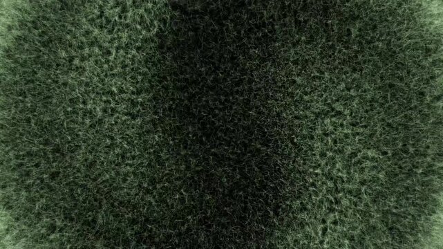 Green fuzzy surface with black stripe, close-up, textured gradient