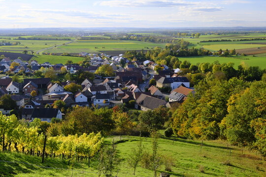 Blick von den Weinbergen am Eulenberg auf Michelau im Steigerwald, Naturpark Steigerwald, Gemeinde Michelau, Landkreis Schweinfurt, Unterfranken, Franken, Bayern, Deutschland