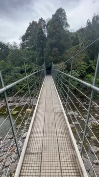 A couple walks across a suspension bridge in Kauaeranga Kauri Trail, Thames, Coromandel Peninsula, New Zealand. The bridge provides access to hiking trails and scenic views of the river and forest.