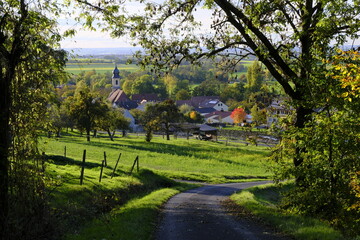Kirche in Michelau im Steigerwald, Naturpark Steigerwald, Gemeinde Michelau, Landkreis Schweinfurt, Unterfranken, Franken, Bayern, Deutschland