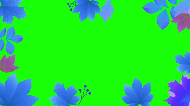 Vibrant blue and purple maple leaf border design frame overlay element with bright green screen background