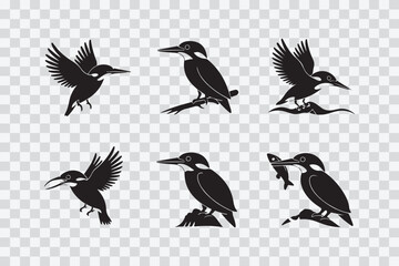 Fototapeta premium Dynamic silhouettes of kingfishers in various flight and perched poses isolated on transparent background
