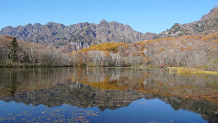 Fototapeta premium Myoko-Togakushi National Park: A Japanese Autumn Wonderland, Nagano, Japan