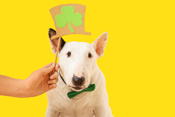 Obraz premium Cute Bull Terrier dog with leprechaun's hat and bow tie on yellow background. St. Patrick's Day celebration