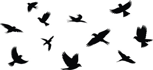 Fototapeta premium Flying bird silhouettes collection, avian motion chart, wing positions illustration, wildlife pictogram, ornithology icon set, flight dynamics design resource