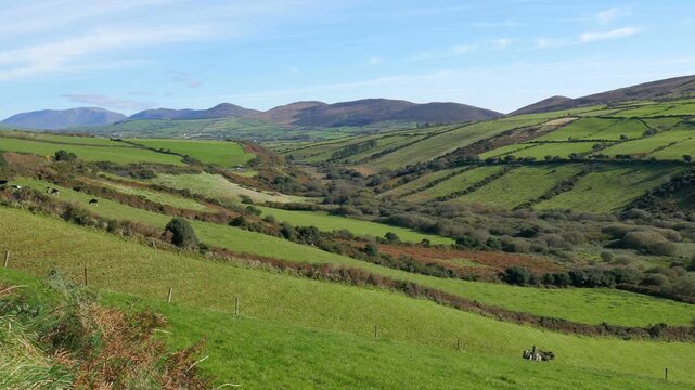 Rural Irish countryside, farmland and agriculture. In the Acres area of County Kerry, on the Dingle Peninsula in southwestern Ireland.