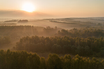 Fototapeta premium Foggy sunrise over lush green forest landscape