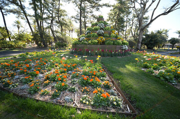 宮交ボタニックガーデン青島