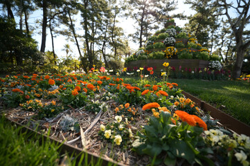宮交ボタニックガーデン青島
