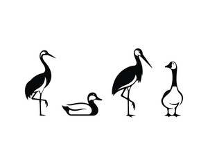 Obraz premium Crane, Stork, Duck, Goose vector silhouette illustration design set collection, crane silhouette, stork silhouette, duck silhouette, goose silhouette, bird silhouettes vector set, waterfowl 