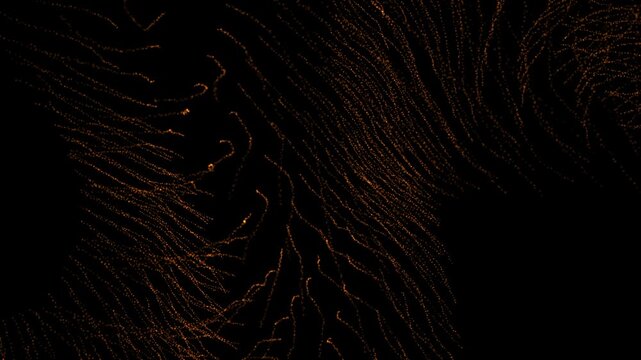 Orange and brown lines flow dynamically across a black background