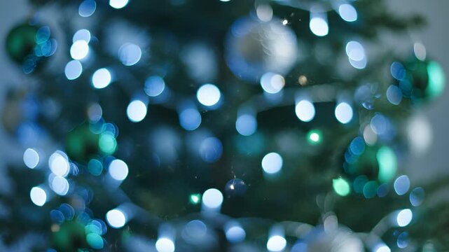 Seamless loop of brilliant blue and emerald green atmospheric bokeh lights shimmering behind subtly moving defocused christmas tree foliage pine, winter, fir
