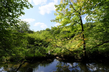 Obraz premium Naturschutzgebiet Hafenlohrtal im Naturpark Spessart, Landkreis Aschaffenburg und Main-Spessart, Unterfranken, Franken, Bayern, Deutschland