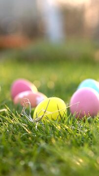 Easter eggs on green spring grass with basket in sunlight. Vertical