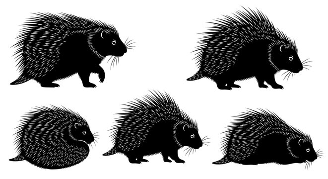 Vector silhouette illustration of porcupines (landak) in various poses, including standing, walking, curled defensive posture, and resting