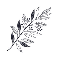Laurel Leaf Ornament Vector Illustration