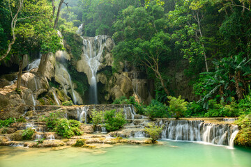 Naklejka premium Golden sunlight illuminates the limestone terraces and cascading turquoise pools of Kuang Si Waterfalls, surrounded by dense tropical forest in northern Laos. Lush green foliage frames the flowing