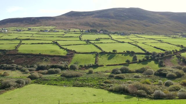 Rural Irish countryside, farmland and agriculture. In the Acres area of County Kerry, on the Dingle Peninsula in southwestern Ireland.