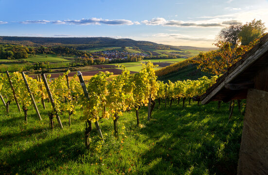 Blick von den Weinbergen bei Pr&uuml;ssberg nach Michelau im Steigerwald, Naturpark Steigerwald, Gemeinde Michelau, Landkreis Schweinfurt, Unterfranken, Franken, Bayern, Deutschland