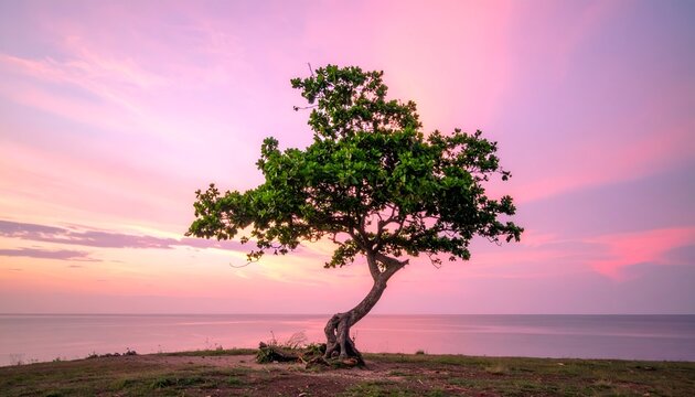 Solitary tree on a grassy hill overlooking the ocean under a pink sky
