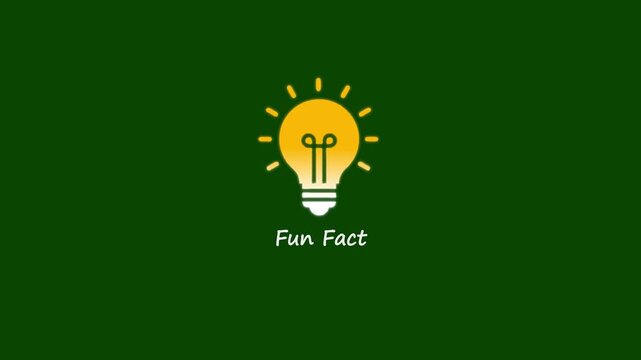 Fun fact concept with light bulb on green background education and inspiration learning