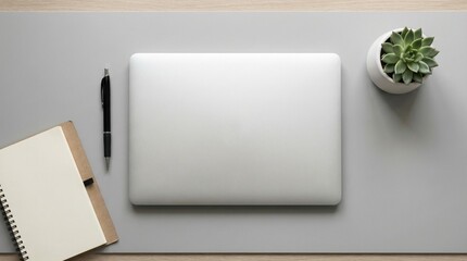 Modern office desk with laptop, notebook, and succulent