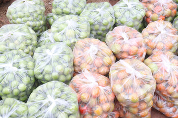 tomato stock on shop for sell are cash crops