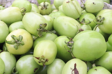 tomato stock on shop for sell are cash crops