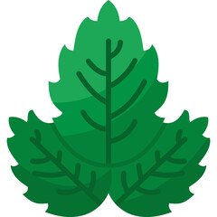 Basil Flat Icon